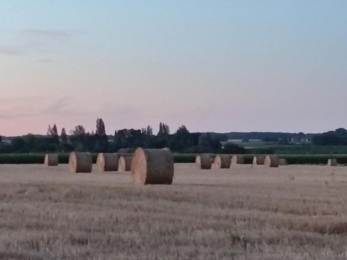 Gite Chez Jeannot Azay-le-Ferron Esterno foto