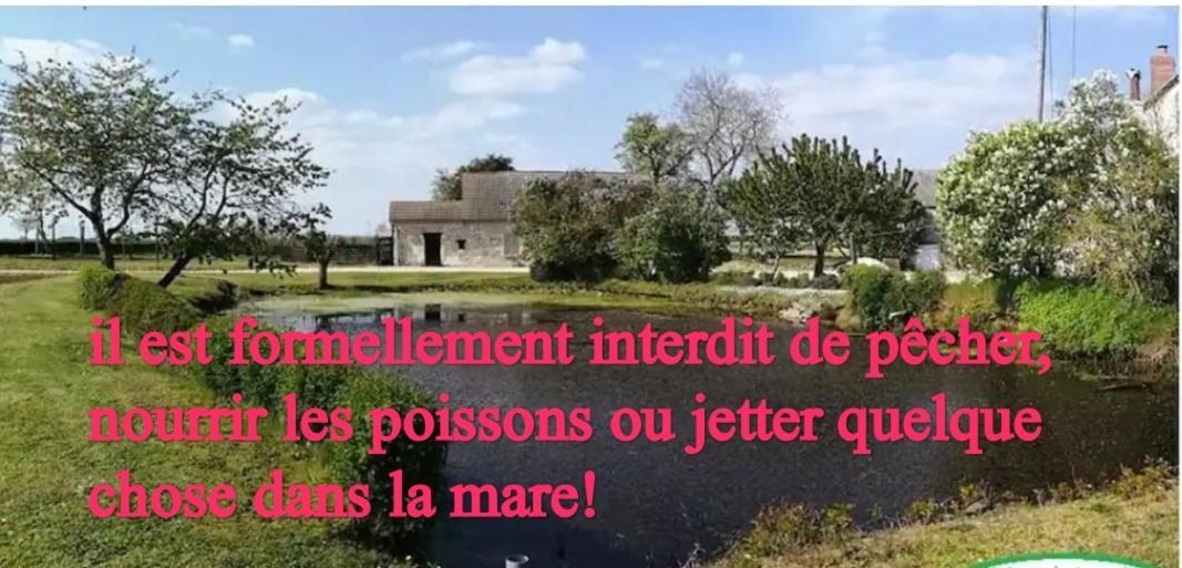 Gite Chez Jeannot Azay-le-Ferron Esterno foto